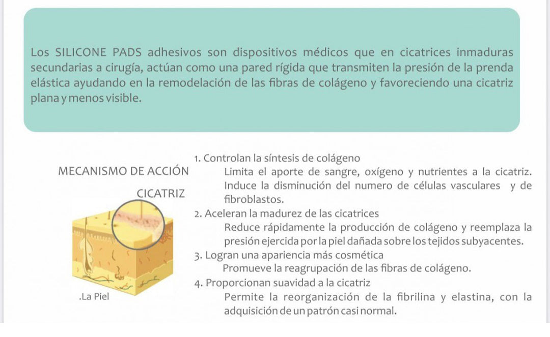 MAMMOPLASTY ADHESIVE ANCHOR FAJATE HEALING BANDS